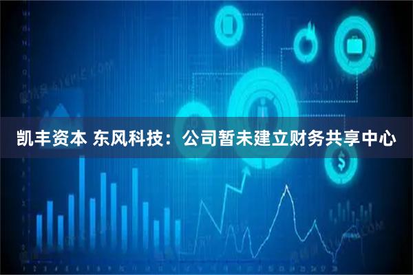 凯丰资本 东风科技：公司暂未建立财务共享中心