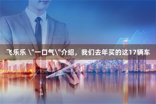 飞乐乐 ＂一口气＂介绍，我们去年买的这17辆车