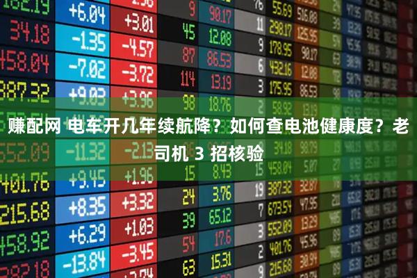 赚配网 电车开几年续航降？如何查电池健康度？老司机 3 招核验
