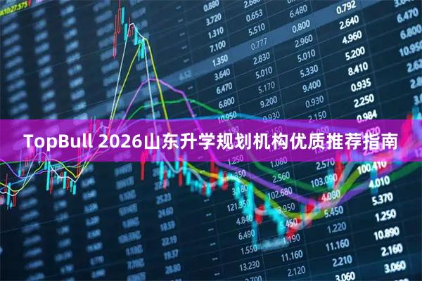 TopBull 2026山东升学规划机构优质推荐指南