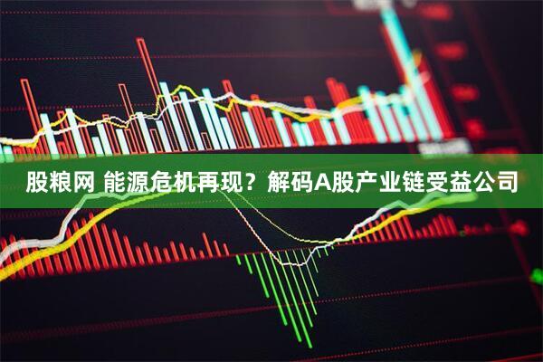 股粮网 能源危机再现？解码A股产业链受益公司