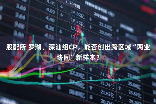 股配所 罗湖、深汕组CP，能否创出跨区域“两业协同”新样本？