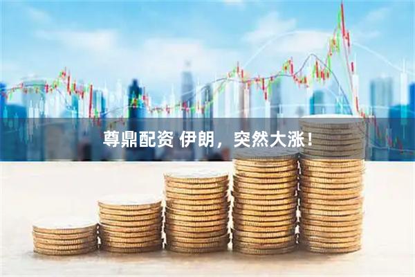 尊鼎配资 伊朗，突然大涨！