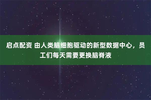 启点配资 由人类脑细胞驱动的新型数据中心，员工们每天需要更换脑脊液