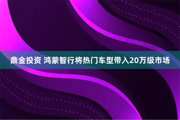 鼎金投资 鸿蒙智行将热门车型带入20万级市场
