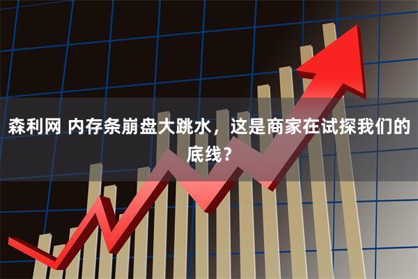 森利网 内存条崩盘大跳水，这是商家在试探我们的底线？