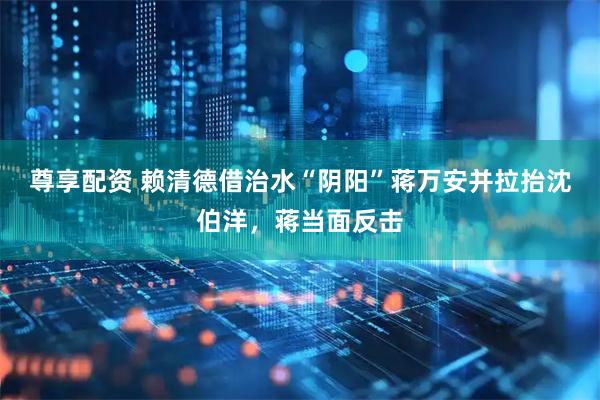 尊享配资 赖清德借治水“阴阳”蒋万安并拉抬沈伯洋，蒋当面反击