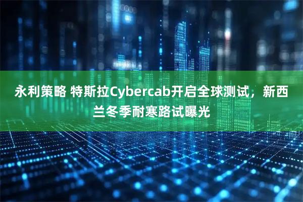 永利策略 特斯拉Cybercab开启全球测试，新西兰冬季耐寒路试曝光