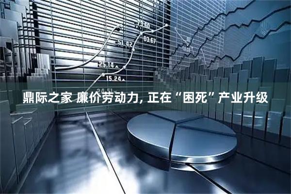 鼎际之家 廉价劳动力, 正在“困死”产业升级