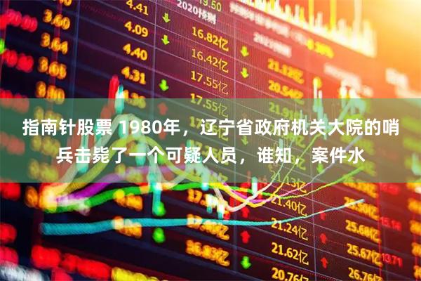 指南针股票 1980年，辽宁省政府机关大院的哨兵击毙了一个可疑人员，谁知，案件水