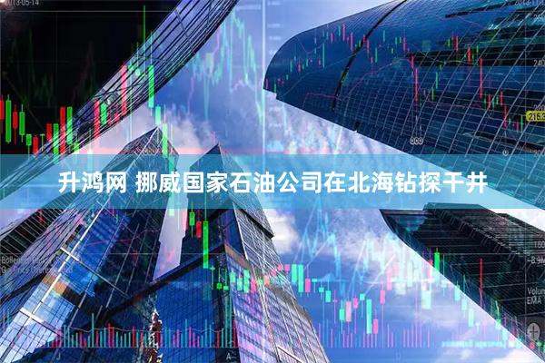 升鸿网 挪威国家石油公司在北海钻探干井
