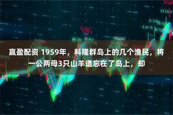赢盈配资 1959年，科隆群岛上的几个渔民，将一公两母3只山羊遗忘在了岛上，却