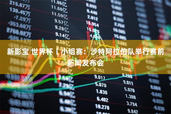 新影宝 世界杯丨小组赛：沙特阿拉伯队举行赛前新闻发布会