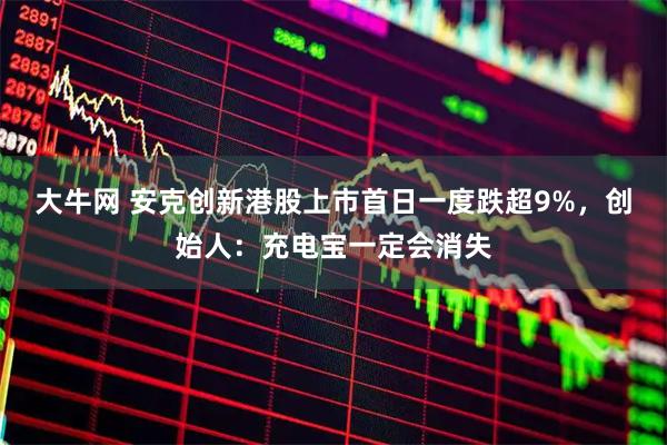 大牛网 安克创新港股上市首日一度跌超9%,创始人:充电宝一定会消失