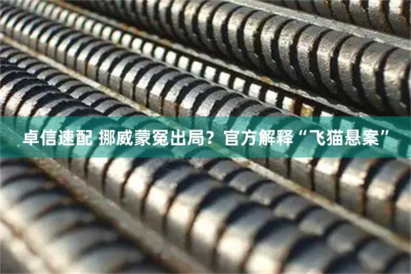 卓信速配 挪威蒙冤出局？官方解释“飞猫悬案”