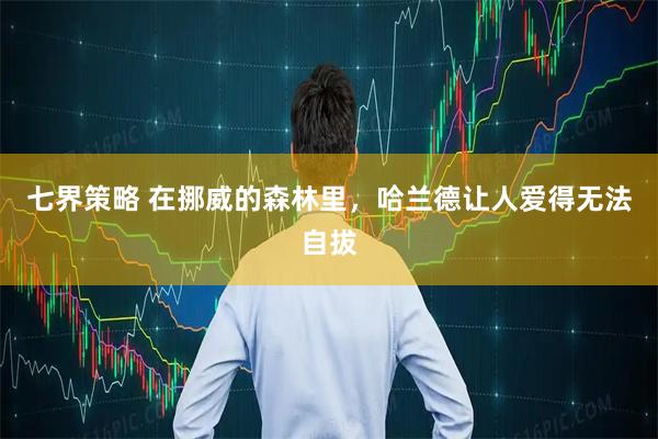 七界策略 在挪威的森林里，哈兰德让人爱得无法自拔