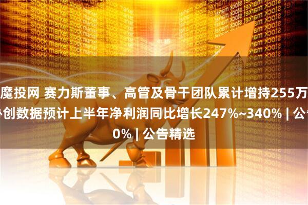 魔投网 赛力斯董事、高管及骨干团队累计增持255万股;协创数据预计上半年净利润同比增长247%~340% | 公告精选