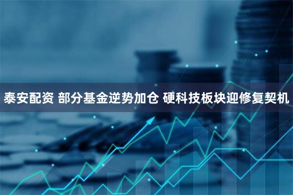 泰安配资 部分基金逆势加仓 硬科技板块迎修复契机